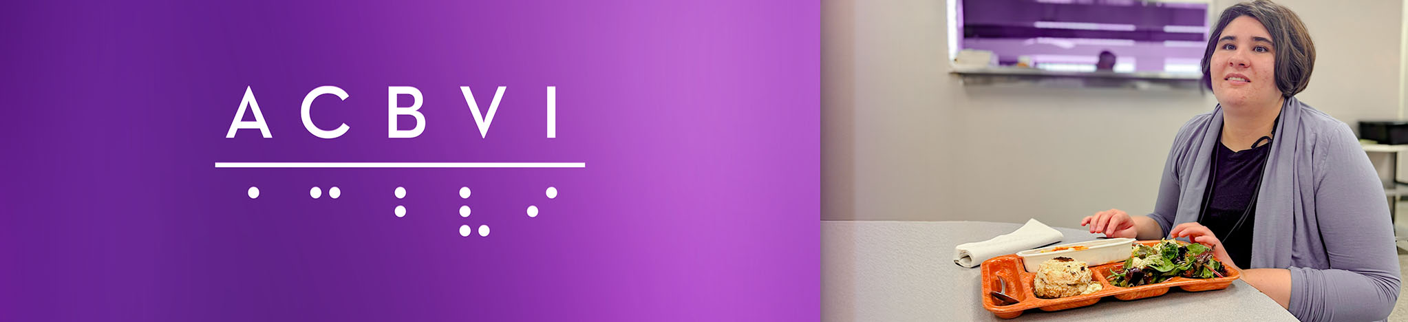 image of ACBVI Newsletter banner