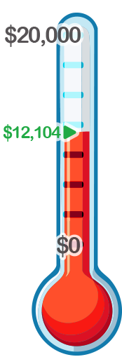 Thermometer showing donation progress