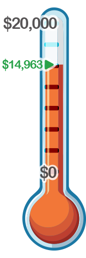 Thermometer showing donation progress
