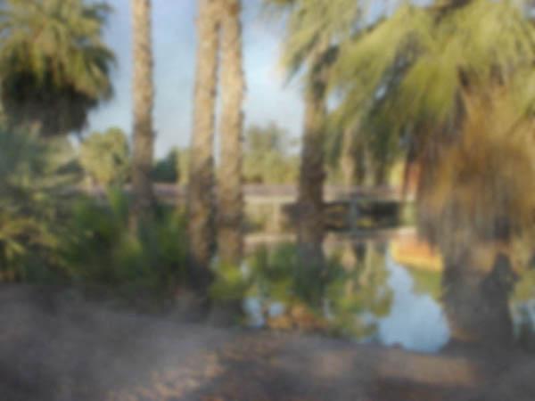 Cataracts View Landscape where trees and lake appear blurry