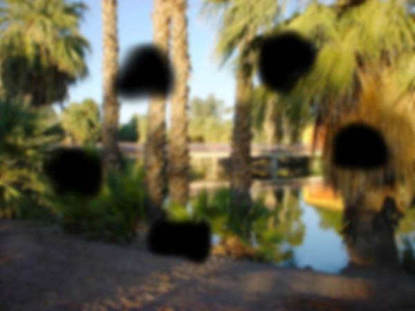 Diabetic Retinopathy View Lanscape with dark spots obscuring trees and lake